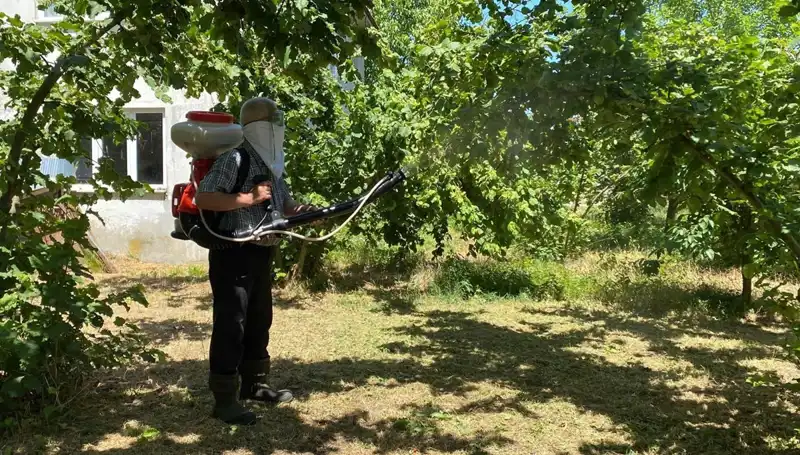Kükürt ve Samuray Arısı: Çiftçilerin Umut Işığı Olacak mı?