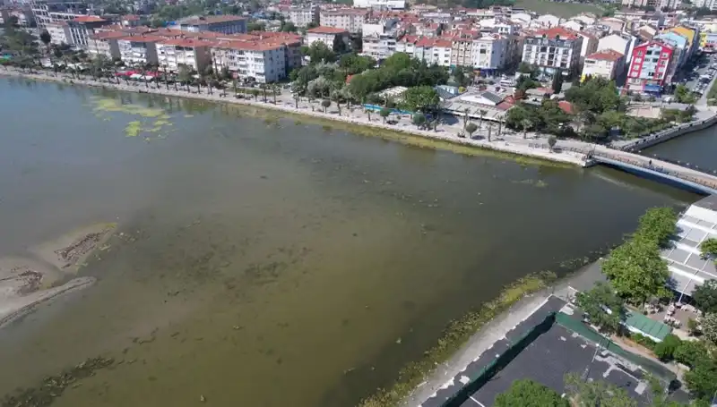 Marmara Denizi'nde Tehlike: Çarpıcı Görüntüler Bilim İnsanlarını Endişelendiriyor