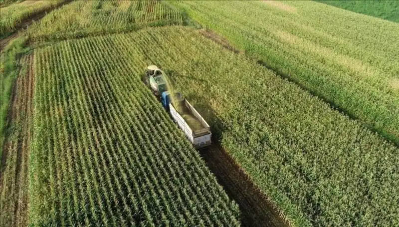 2025 Mart Ayı Mazot ve Gübre Destek Ödemeleri Hakkında Son Gelişmeler
