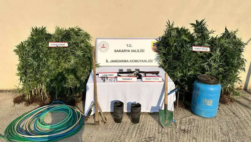 Sakarya’da Uyuşturucu Operasyonu: Güvenlik Güçleri Bir Çiftliği Bastı