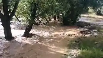 Mersin'de Sağanak Yağışlar Hayatı Olumsuz Etkiledi: Sel Felaketi