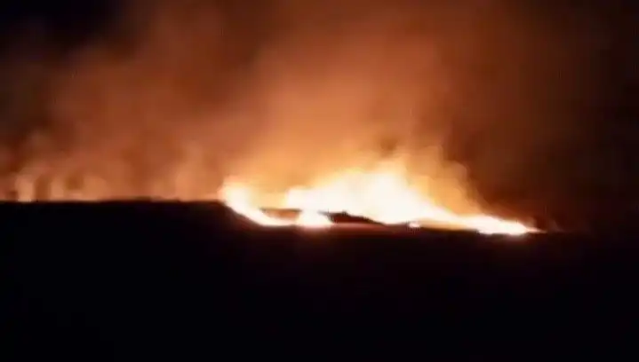 20 Dönüm Tarım Arazisi Yangınla Sona Erdi: Nedenleri ve Sonuçları
