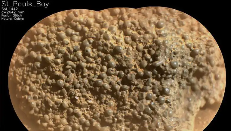 Mars'ta Gizemli "Örümcek Yumurtaları" Keşfi: Uzayda Hayat Belirtileri mi Var?