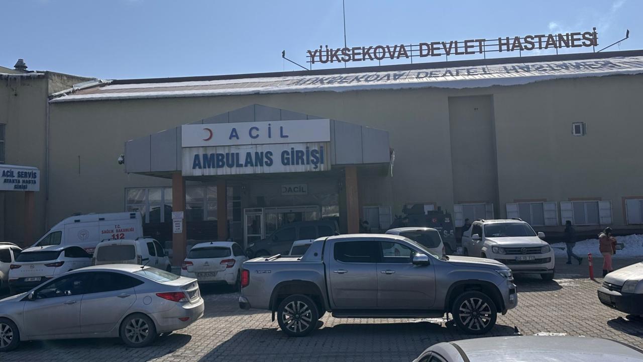 Müfettiş, Başıboş Köpeklerin Saldırısıyla Ölen Çocuk Olayını İncelemek Üzere Görevlendirild