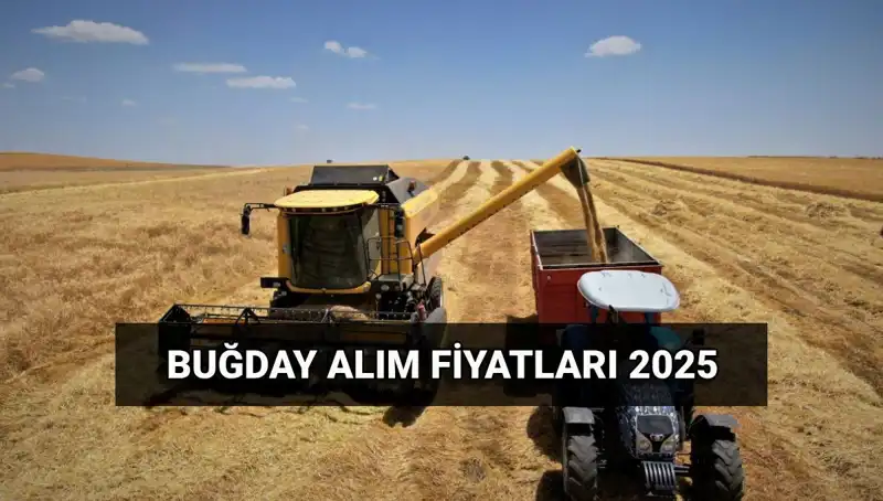 2025 Hububat Alım Fiyatları ve Ödemeler Ne Zaman Yapılacak?