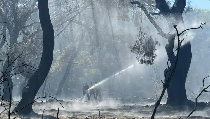 Çanakkale, Antalya ve Hatay’da Yangınlar Sonunda Kontrol Altına Alındı