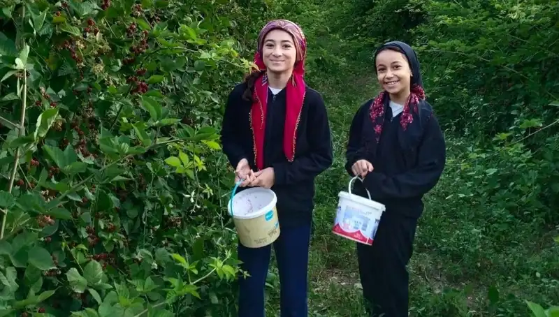 Antioksidan Zengini Besinler: Kanserle Mücadelede Yeni Bir Umut
