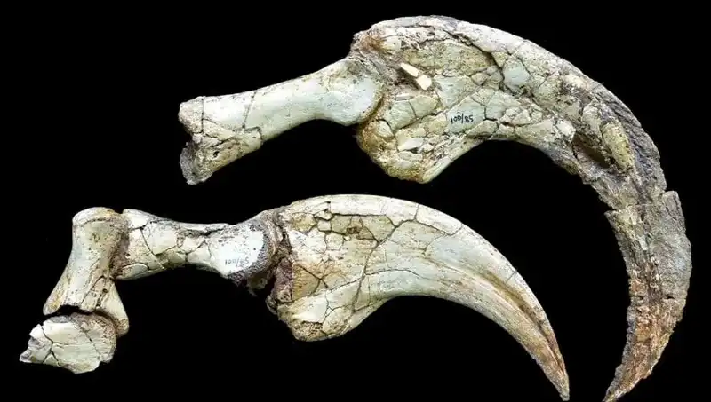 Gobi Çölü'nde Keşfedilen İki Parmaklı Dinozor: Bilim Dünyasında Dönüm Noktası