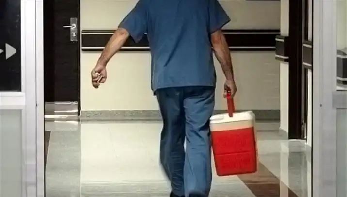 Organ Bağışında Devrim: e-Devlet ve e-Nabız ile Kolay Adımlar