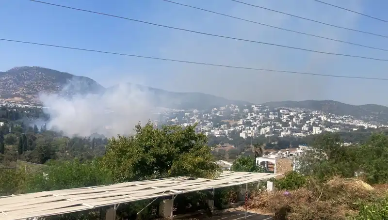 Muğla Orman Yangınları Kontrol Altına Alındı: Doğa Tekrar Canlanacak mı?