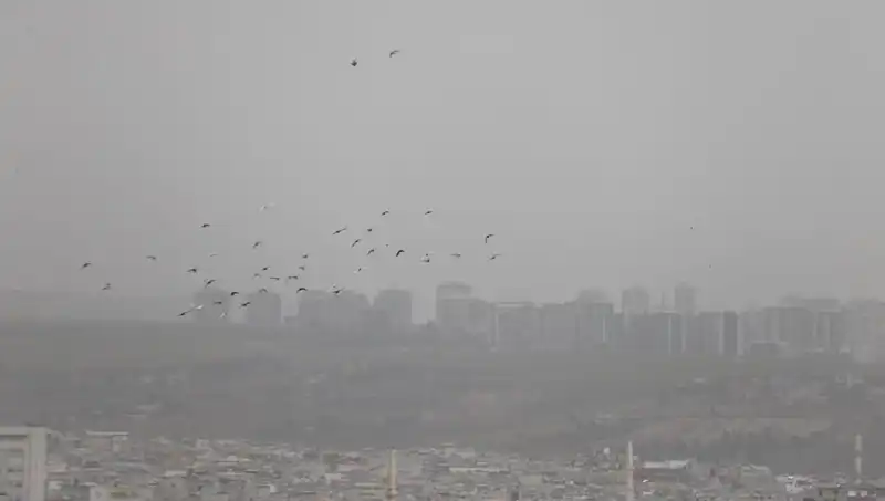 Şanlıurfa'da Toz Bulutu Etkisi: Hayat Durma Noktasına Geldi