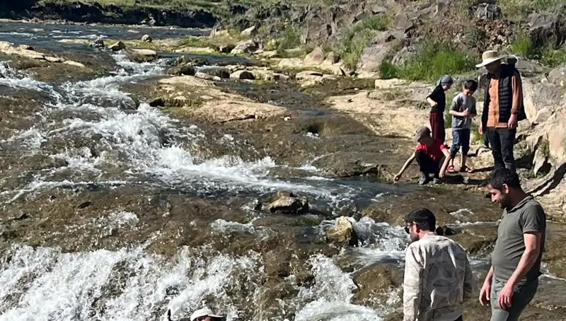 İnci Kefalinin Muhteşem Göçü: Binlerce Kilometreyi Aşan Doğa Harikası