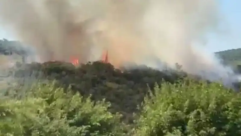 İstanbul'da Şiddetli Orman Yangını: Temel Önlemler ve Tahliyeler