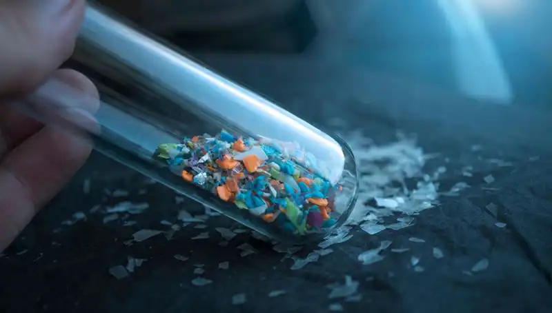 Mikroplastikler, İnsan Beyninde Neler Yapıyor? Bilimsel Gerçekler ve Etkileri!