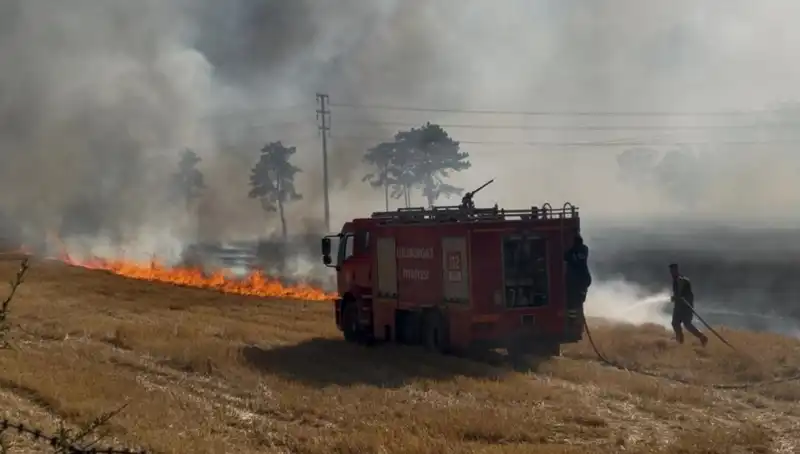 Kırklareli'nde Anız Yangını: Doğa ve Tarım Üzerindeki Etkileri